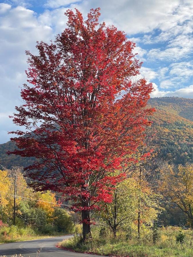 Hunter Mountain Sanctuary Villa Екстериор снимка
